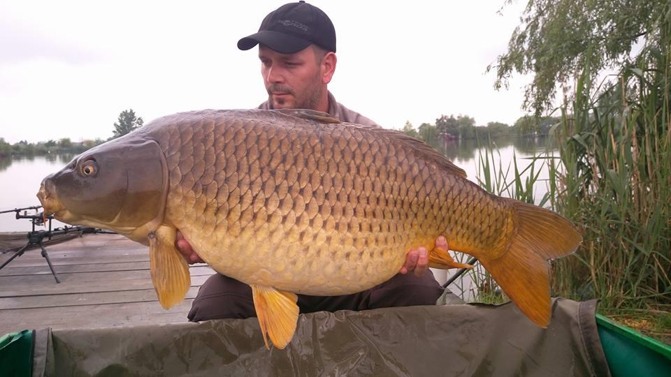  pescuit 2017 - 1834197815168041483523997472881274609934376n.jpg